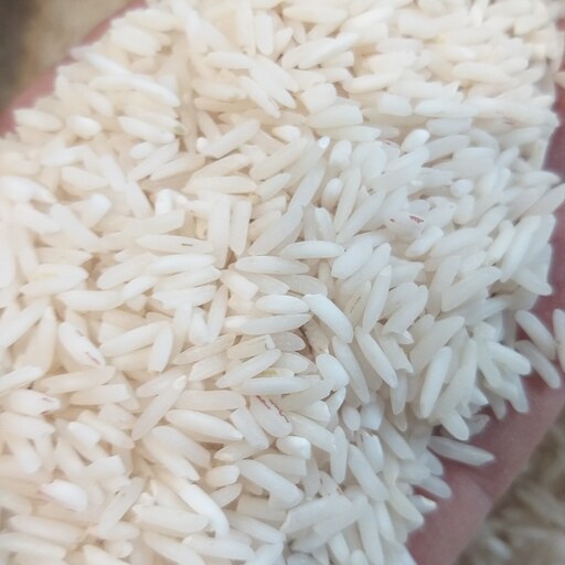 برنج محلی فجر آستانه اشرفیه 20 کیلویی ارسال رایگان 
