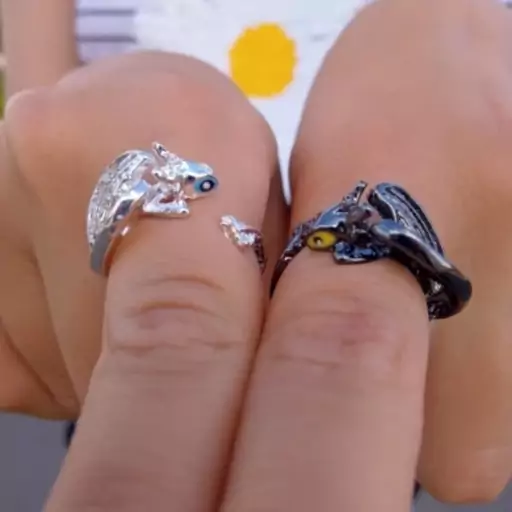 انگشتر بی دندون از انیمیشن اژدها سوران toothless and light fury ring