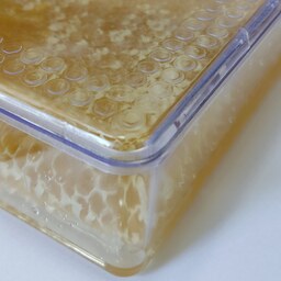 عسل با موم زنبور بافت طبیعی و ارگانیک یک کیلویی (خرید مستقیم از زنبوردار)