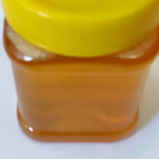 عسل طبیعی و ارگانیک 600 گرمی(خرید مستقیم از زنبوردار)