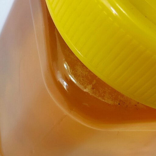 عسل طبیعی و ارگانیک 600 گرمی(خرید مستقیم از زنبوردار)