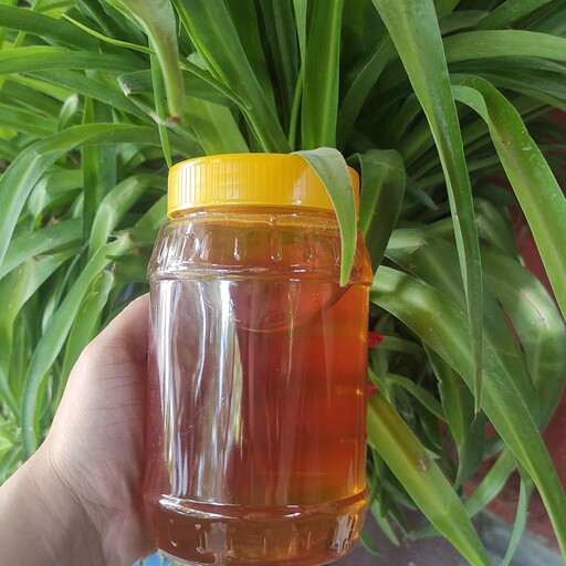 عسل کاملا طبیعی  عسل گون عسل خالص با ضمانت اصلی بودن 