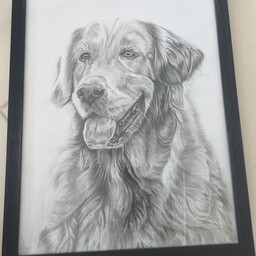 تابلو نقاشی طرح سگ سیاه قلم 
