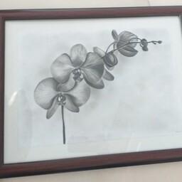 تابلو نقاشی طرح گل سیاه قلم 