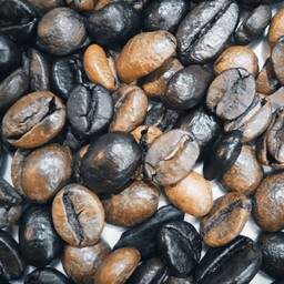 دان قهوه 70 درصد روبوستا 30 درصد عربیکا رست در تصویر دیده میشود