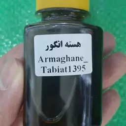 روغن هسته انگور 60 سی سی-آبرسان ،کلاژن ساز  رفع تیرگی پوست