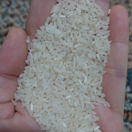برنج  لاشه فجر (10 کیلو گرم) ارسال رایگان