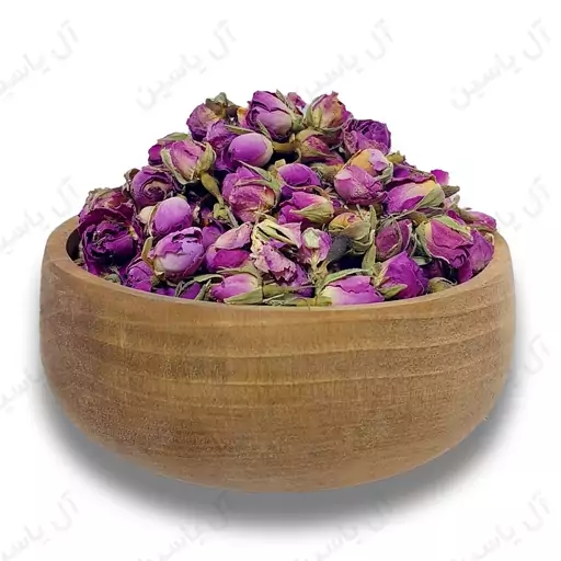 گل سرخ غنچه(25گرمی)