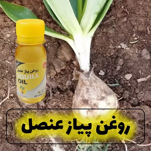 روغن پیاز عنصل کیفیت عالی  60 سی سی - روغن گیاهی رفع ریزش مو