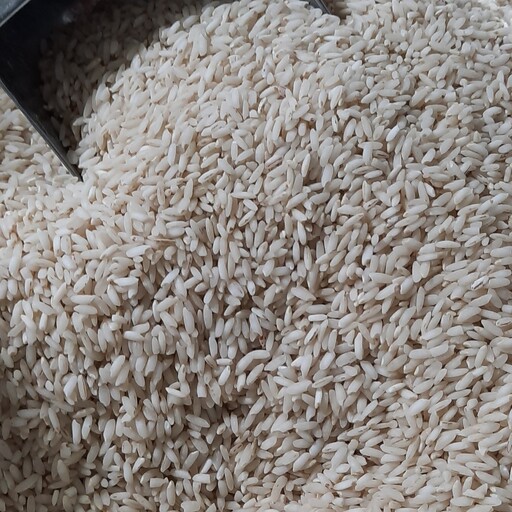برنج چمپا عنبربو خوزستان معطر اعلاء (گونی 10 کیلویی)