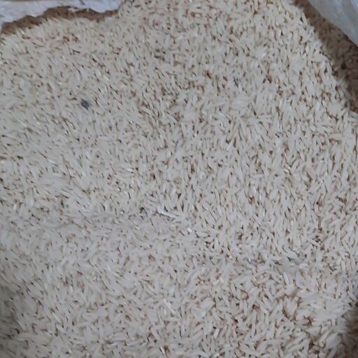 برنج هاشمی گیلان اعلاء (گونی 10 کیلویی)