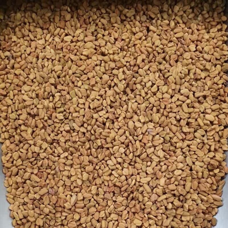 بذر شنبلیله هندی (تخم شنبلیله) - 1 کیلو