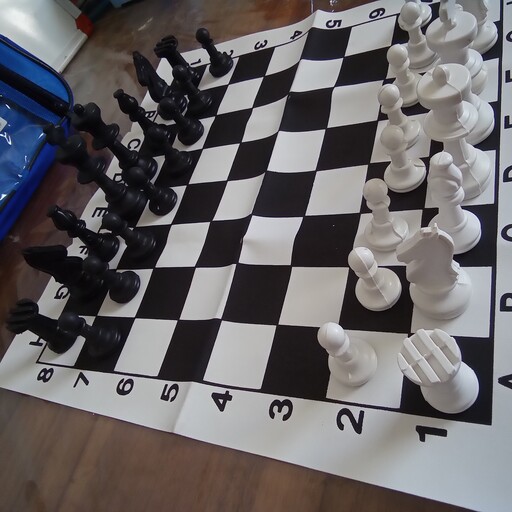 بازی فکری شطرنج به همراه کیف مخصوص شطرنج. جنس مهره ها و صفحه بازی درجه یک