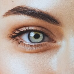 لنز چشم چیک ویو رنگی  110  یکساله بدون حساسیت و آلرژی کاملا سبک