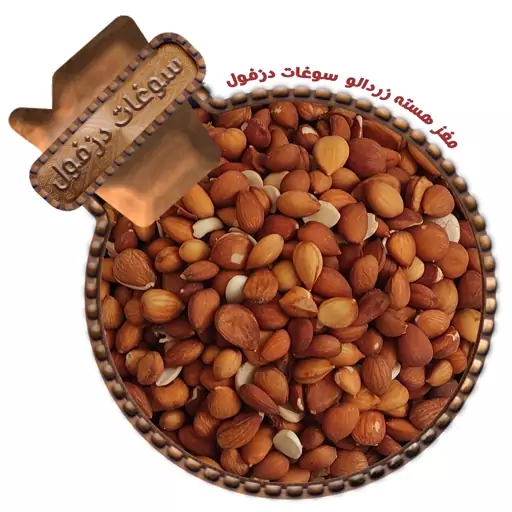 مغز هسته زردآلو شور و مرطوب (450 گرم) سوغات دزفول 