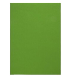 کاغذ رنگی A4 دو طرف سبز پر رنگ (100 عدد)
