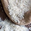 بورس برنج باغبانی
