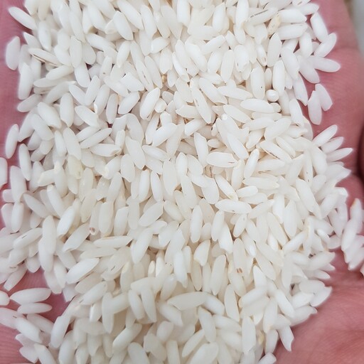 برنج عنبربو  یاسمین معطر درجه 1 (10کیلو )ارسال رایگان
