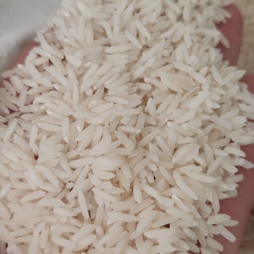برنج طارم هاشمی درجه یک 