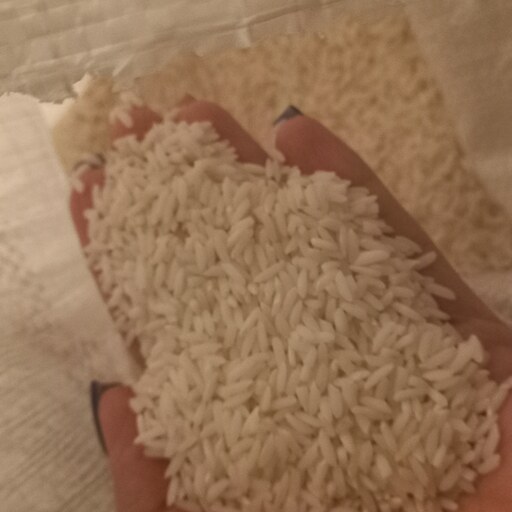 برنج دورود  اعلا ( کیسه 5کیلویی)