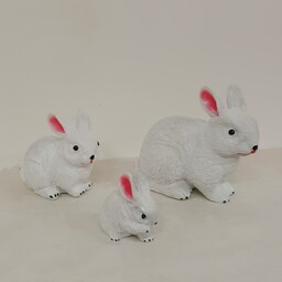 خرگوش 3 عددی سفید باکسی