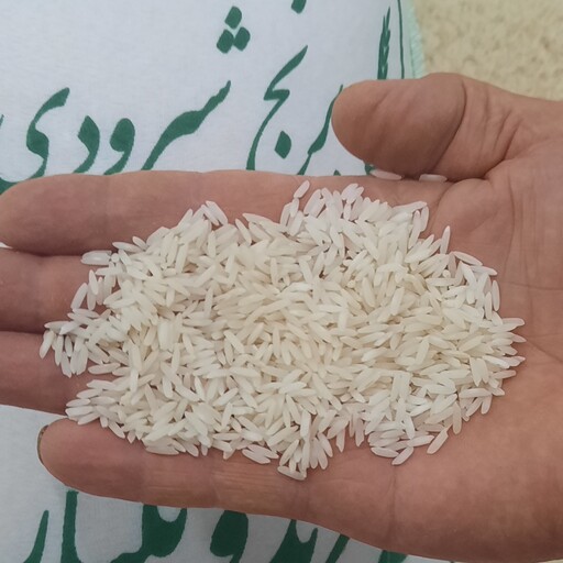 برنج شیرودی درجه یک فریدونکنار  ده کیلیویی 