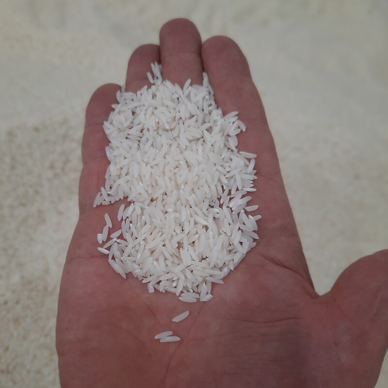 برنج فجر درجه یک اعلا فریدونکنار ده کیلیویی