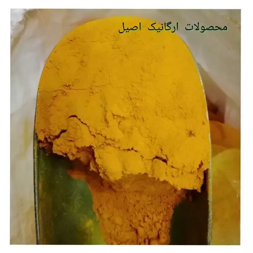 زردچوبه زرین (500) گرمی 