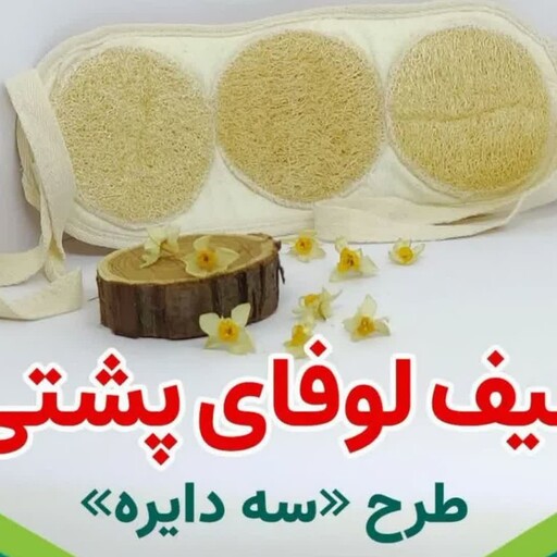 لیف لوفای پشتی