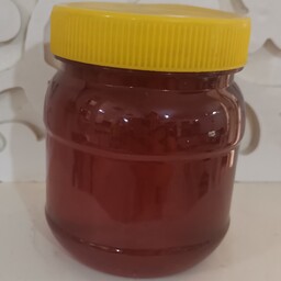عسل چندگیاه مرغوب(500گرمی) 