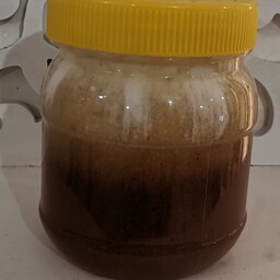 عسل کنار مرغوب وتازه(500گرم) 