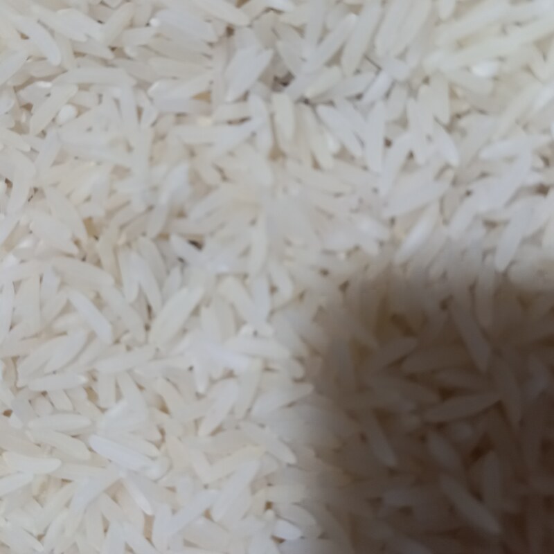 برنج ایرانی فجر سوزنی 90 روزه  که خوش طمع و خوش عطر است مقدارش هم دو تن است 