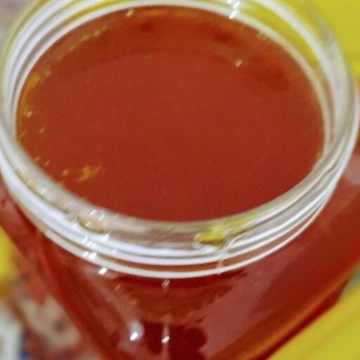 عسل طبیعی شوید خام ارگانیک 1 کیلویی سبلان(مستقیم از زنبوردار)ارسال رایگان