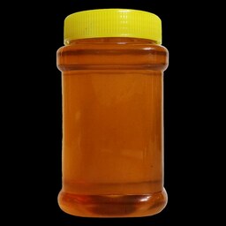 عسل گون درجه یک اصل 1000 گرمی اردکان فارس
