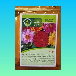 بذر گل کوکب پاکان بذر اصفهان