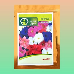 بذر گل اطلسی پاکان بذر اصفهان 