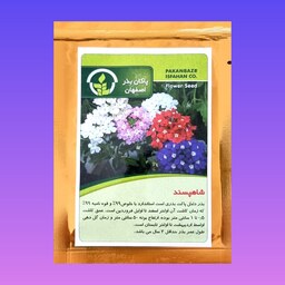 بذر گل شاهپسند پاکان بذر اصفهان 