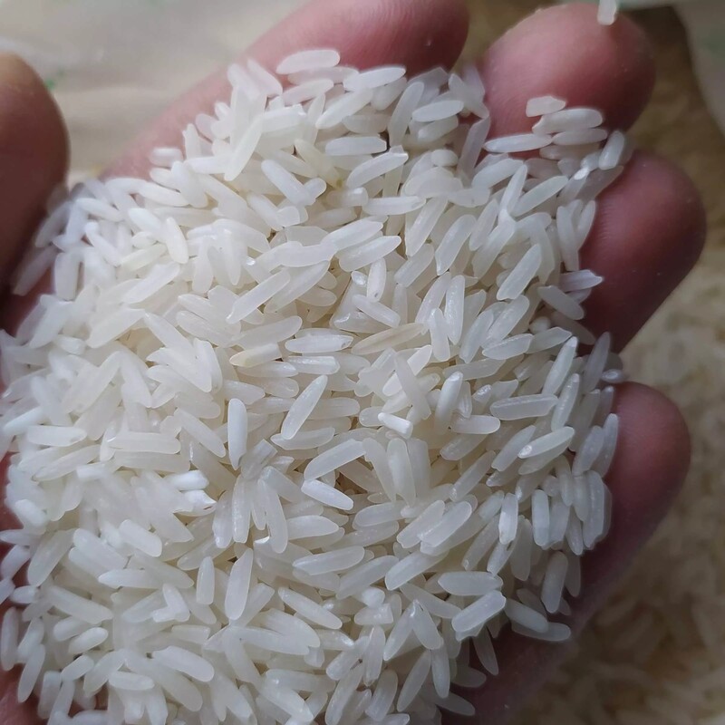 برنج طارم فجر محلی ممتاز شمال درجه یک(یک کیلو)