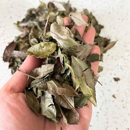 چای سبز محلی گیلان  بسته بندی 200 گرمی