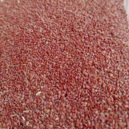 بذر قدومه شیرازی 100 گرمی رفع سنگ کلیه ( عطاری فاطر )