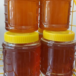 عسل طبیعی سبلان بصورت شهد در بسته بندی های یک کیلویی