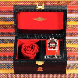 جعبه و باکس گل موزیکال رز جاودان مدل ترنم رنگ مشکی 