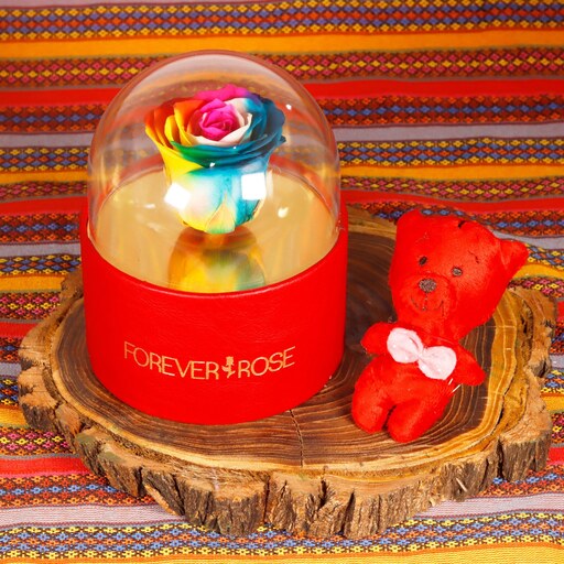 باکس و جعبه گل موزیکال رز جاودان مدل آسنا رنگ قرمز