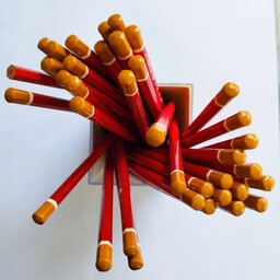 مداد قرمز لاک پشت ایرانی