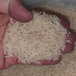 برنج پاکستانی هزاردستان 386