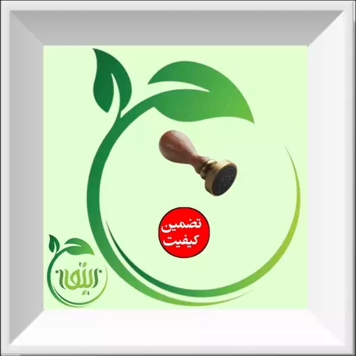 روغن آووکادو یک لیتری طبیعی و درجه یک با کیفیت عالی. دنیای کالای زیتون