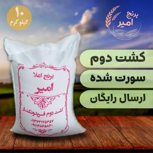 برنج کشت دوم عطری درجه یک فریدونکنار (سورت شده) ده کیلویی ارسال رایگان 