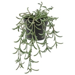 گیاه وگلدان مصنوعی ایکیا مدل فجکا، به رنگ سبز، رشته های موز آویزان، 9سانتی متر   FEJKA  STRING OF BANANAS HANGING. 