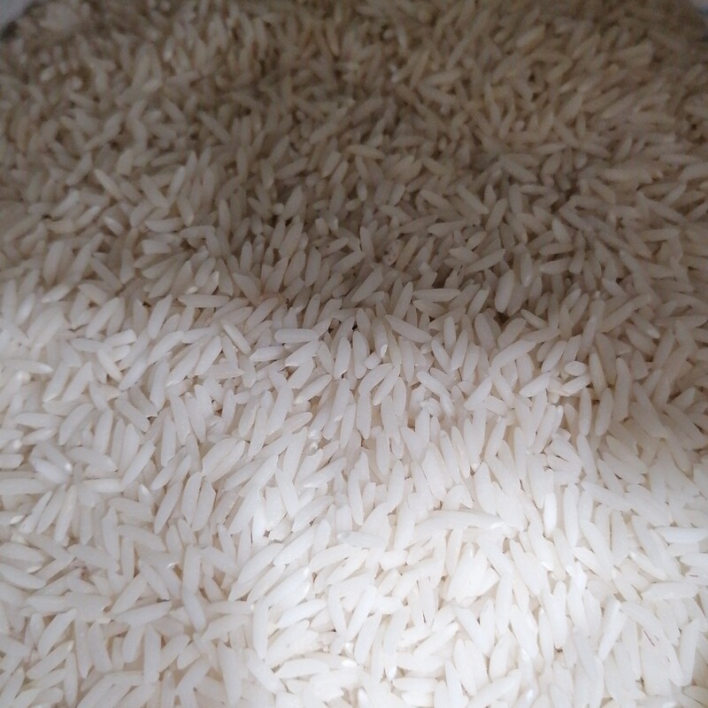 برنج صدری استانه