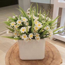 گل و گلدان بابونه بسیار زیبا